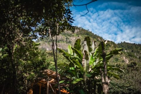 Outdoors at WuWei Village
