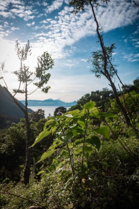 Outdoors at WuWei Village