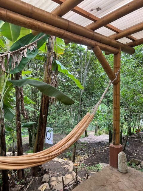 Jardin1
