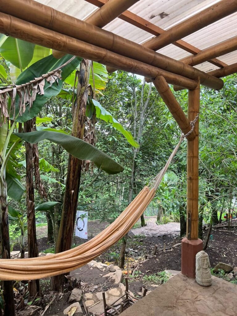 Jardin1