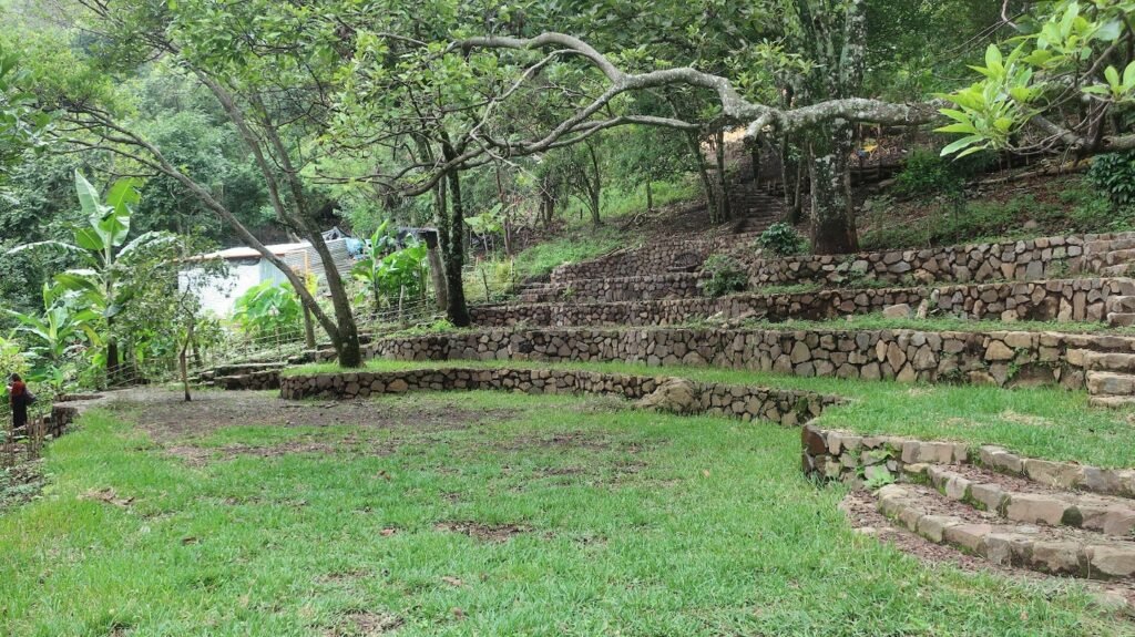 Jardin6