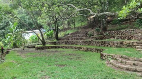 Jardin6
