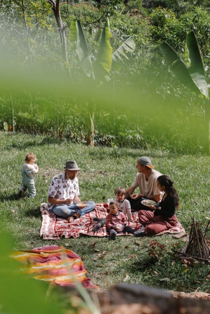 Picnic on the grass