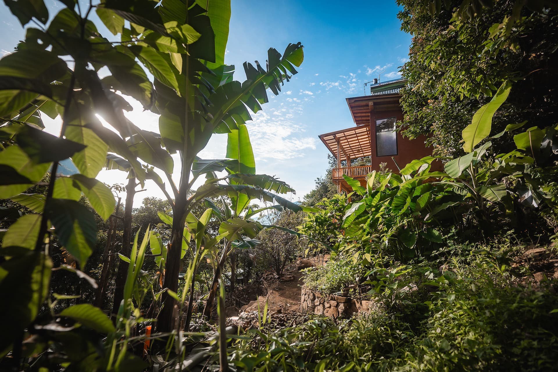 glimpse of a wooden house in the banana plantations of Wuwei Village