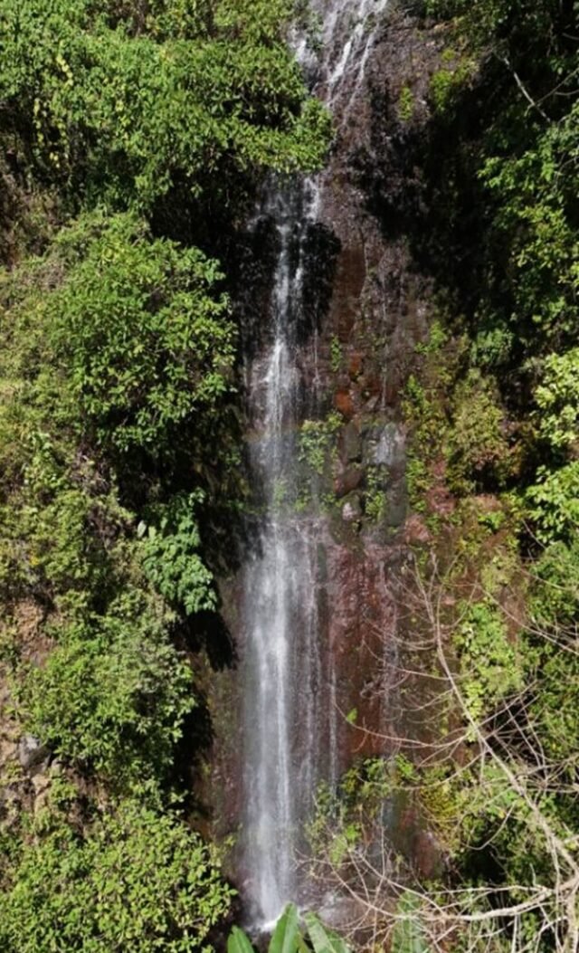 Waterfall in the forest